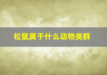 松鼠属于什么动物类群