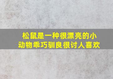 松鼠是一种很漂亮的小动物乖巧驯良很讨人喜欢