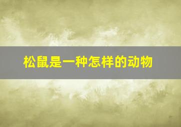 松鼠是一种怎样的动物