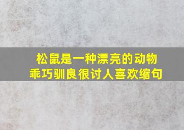 松鼠是一种漂亮的动物乖巧驯良很讨人喜欢缩句