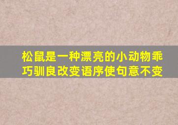 松鼠是一种漂亮的小动物乖巧驯良改变语序使句意不变