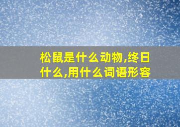 松鼠是什么动物,终日什么,用什么词语形容