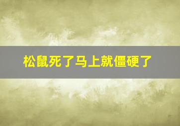 松鼠死了马上就僵硬了