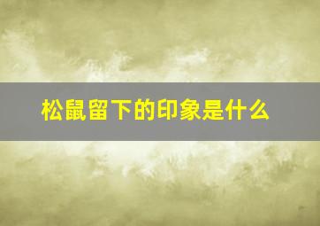 松鼠留下的印象是什么