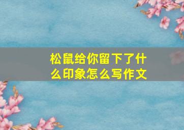 松鼠给你留下了什么印象怎么写作文