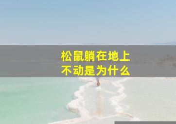 松鼠躺在地上不动是为什么