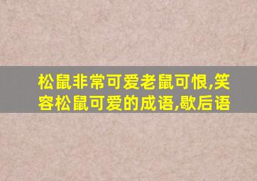 松鼠非常可爱老鼠可恨,笑容松鼠可爱的成语,歇后语