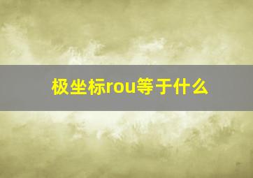 极坐标rou等于什么