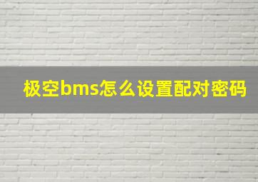 极空bms怎么设置配对密码