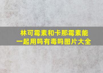 林可霉素和卡那霉素能一起用吗有毒吗图片大全