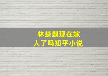 林楚麒现在嫁人了吗知乎小说