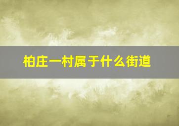 柏庄一村属于什么街道