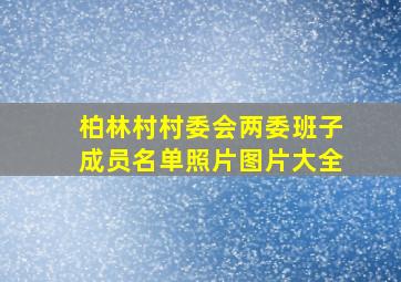 柏林村村委会两委班子成员名单照片图片大全