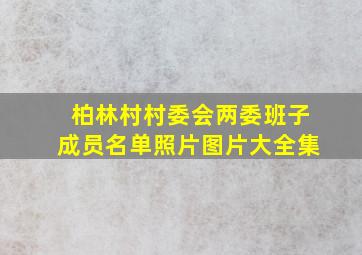 柏林村村委会两委班子成员名单照片图片大全集