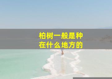 柏树一般是种在什么地方的