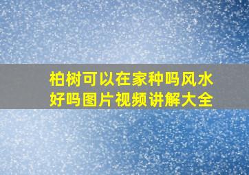 柏树可以在家种吗风水好吗图片视频讲解大全