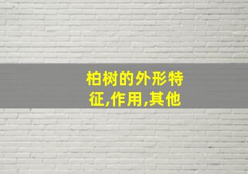 柏树的外形特征,作用,其他