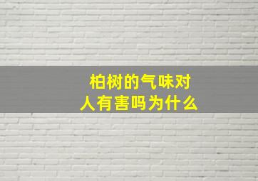 柏树的气味对人有害吗为什么