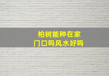 柏树能种在家门口吗风水好吗