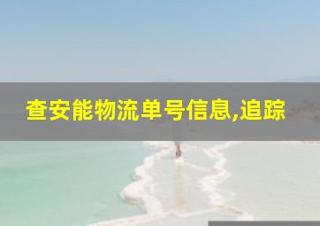 查安能物流单号信息,追踪