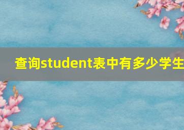 查询student表中有多少学生