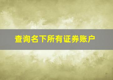 查询名下所有证券账户