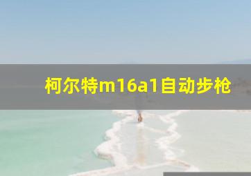 柯尔特m16a1自动步枪