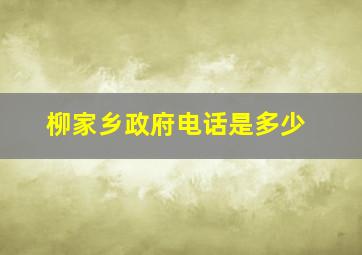 柳家乡政府电话是多少