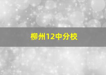 柳州12中分校