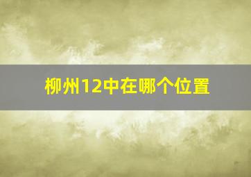 柳州12中在哪个位置