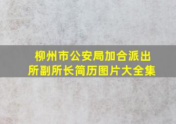 柳州市公安局加合派出所副所长简历图片大全集