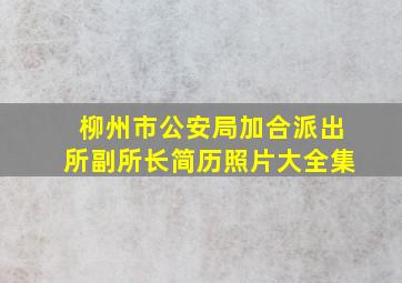 柳州市公安局加合派出所副所长简历照片大全集