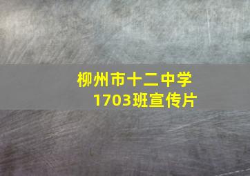 柳州市十二中学1703班宣传片