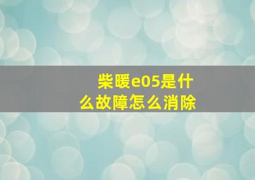 柴暖e05是什么故障怎么消除