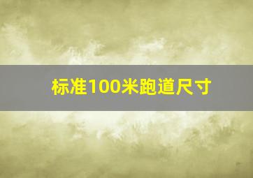 标准100米跑道尺寸