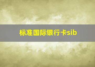 标准国际银行卡sib