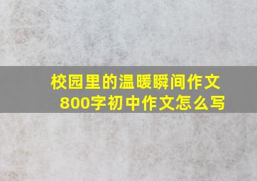 校园里的温暖瞬间作文800字初中作文怎么写