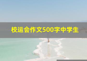 校运会作文500字中学生