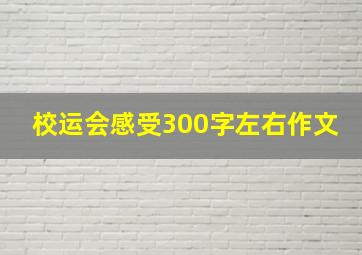 校运会感受300字左右作文