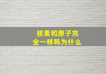 核素和原子完全一样吗为什么