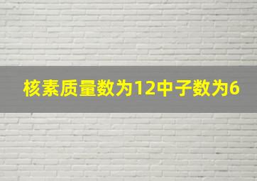 核素质量数为12中子数为6