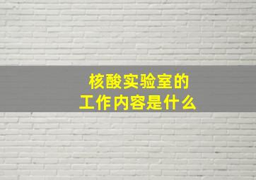 核酸实验室的工作内容是什么