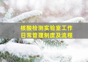 核酸检测实验室工作日常管理制度及流程