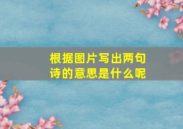 根据图片写出两句诗的意思是什么呢