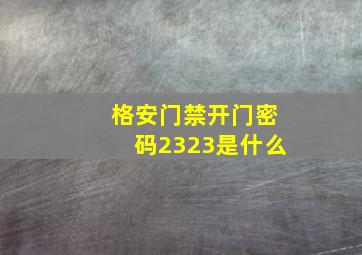 格安门禁开门密码2323是什么