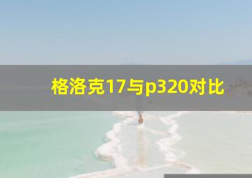 格洛克17与p320对比