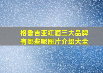 格鲁吉亚红酒三大品牌有哪些呢图片介绍大全