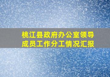 桃江县政府办公室领导成员工作分工情况汇报