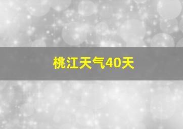 桃江天气40天