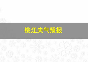 桃江夫气预报